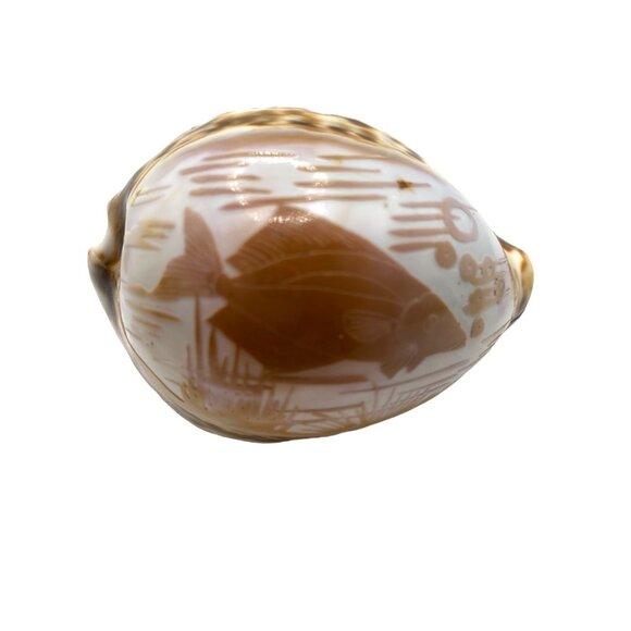 Hand-Carved Cowrie Shell With Fish Design Ocean Water Sea Life Decor Nautical - Picture 9 of 11